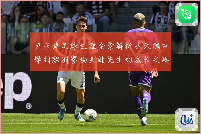 卢卡库足球生涯全景解析从天赋中锋到欧洲赛场关键先生的成长之路
