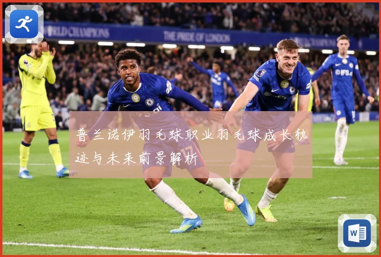 普兰诺伊羽毛球职业羽毛球成长轨迹与未来前景解析